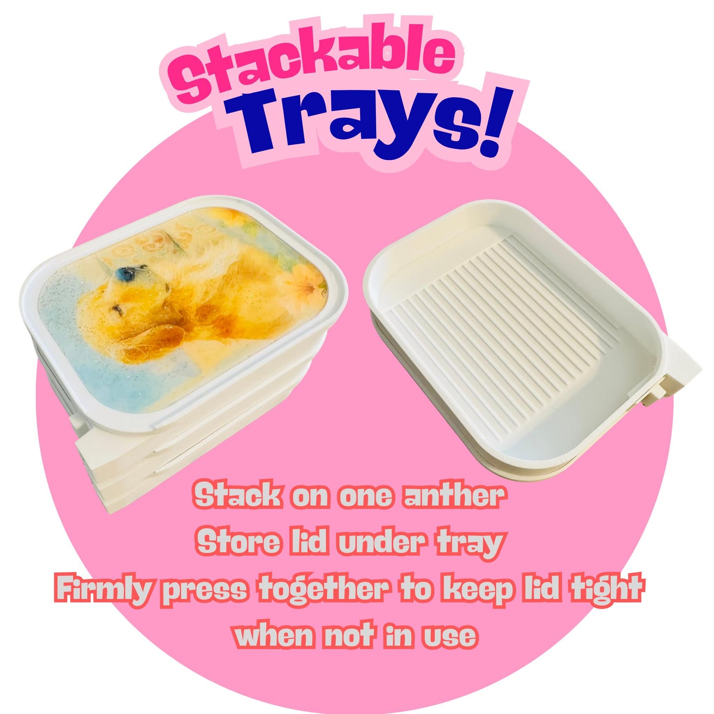 Diamond Art Tray- Artesian Series- Ever After Trays | Stackable Diamond Art Tray with Lid and Enclosed Stopper