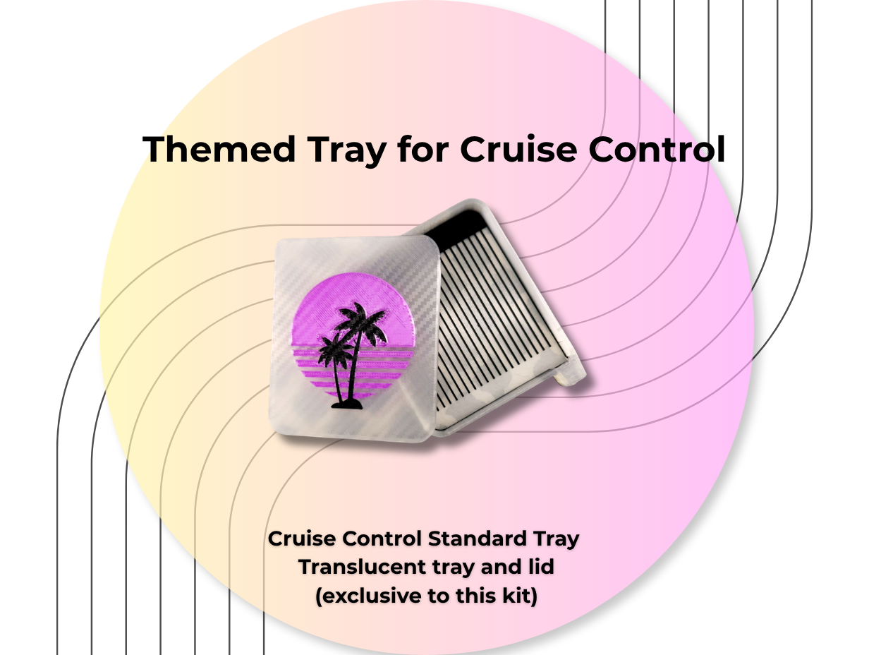 Cruise Control ✨ PRE-ORDER • Made to Order